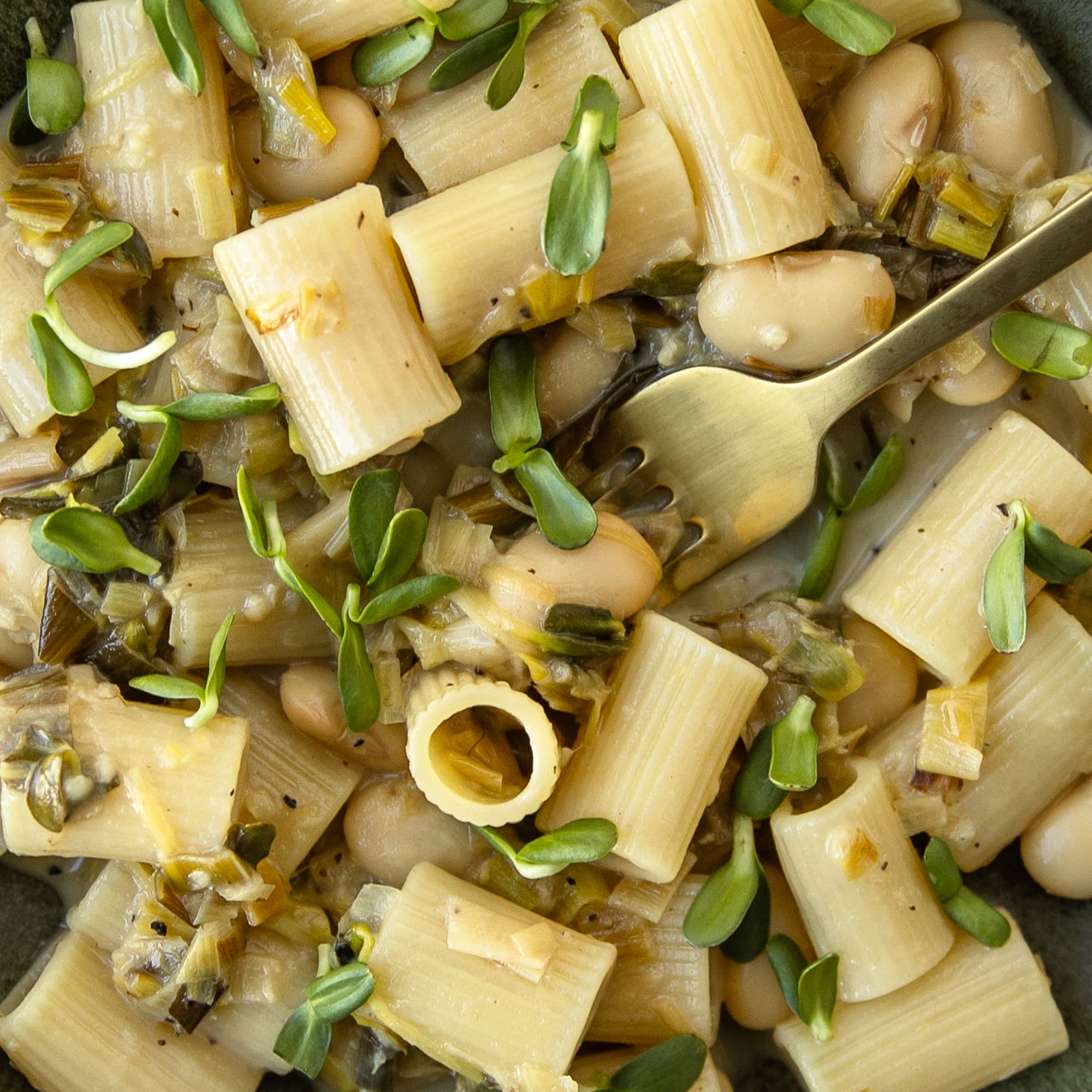 Caramelised Leek Pasta